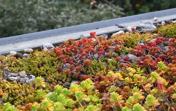 the cost of Woolpit Heath green roof installation
