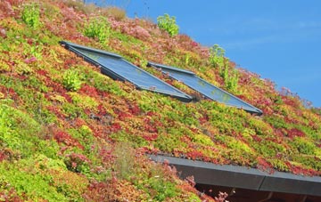 Woolpit Heath living roof systems