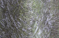 Woolpit Heath fibreglass roof work